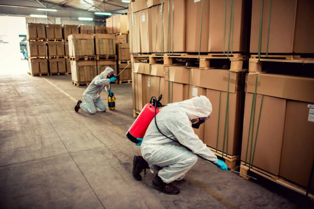 Reliable Crugers, NY Pest Control Solutions