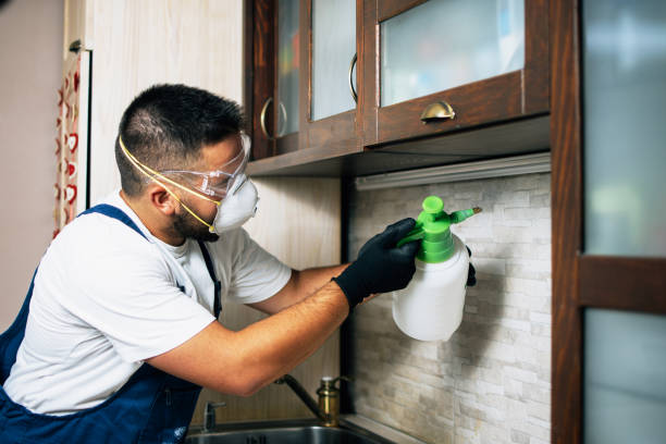 Best Wasp Removal Services  in Crugers, NY