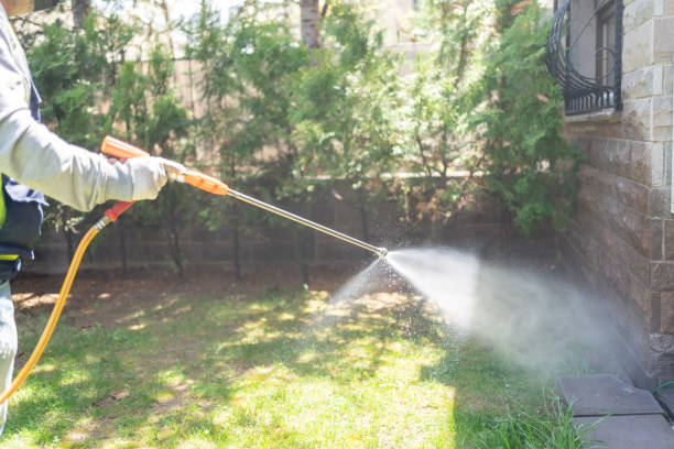 Best Local Pest Control Services  in Crugers, NY